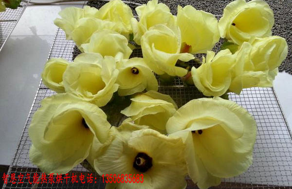 金花葵烘干機(jī)